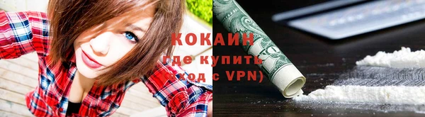соль ск Волосово