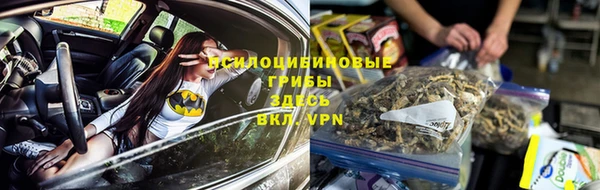 соль ск Волосово